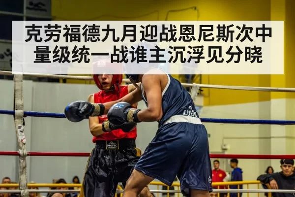 boxer in action